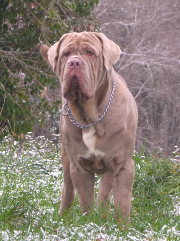 Thanos (Sans Affixe)