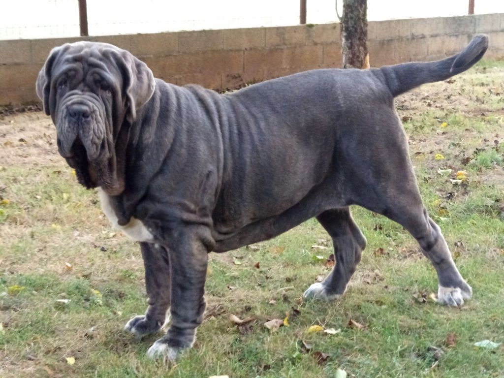 V.i.p. des marais aux sortileges