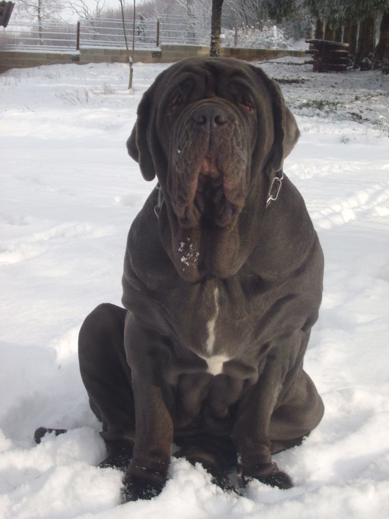 Carla-mama des marais aux sortileges